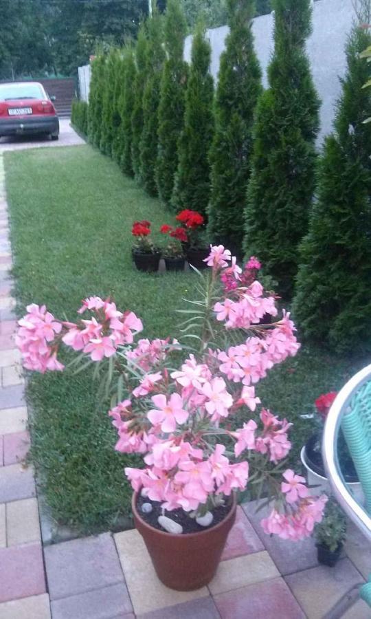 Holiday Home In Keszthely/Balaton 39648 المظهر الخارجي الصورة